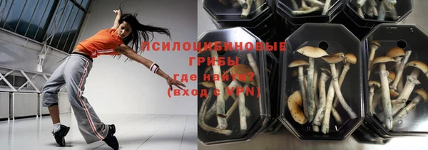 spice Медвежьегорск