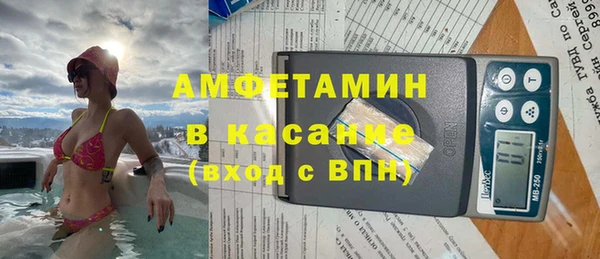 PSILOCYBIN Вяземский