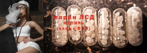 spice Медвежьегорск