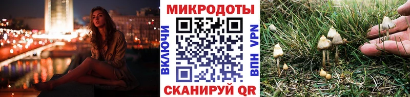 Галлюциногенные грибы Cubensis  Ленинградская 